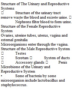 Homework 33